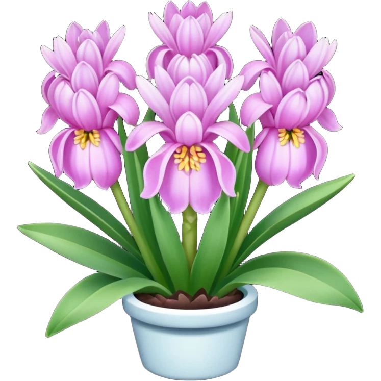 a light margenta  Hyacinth emoji