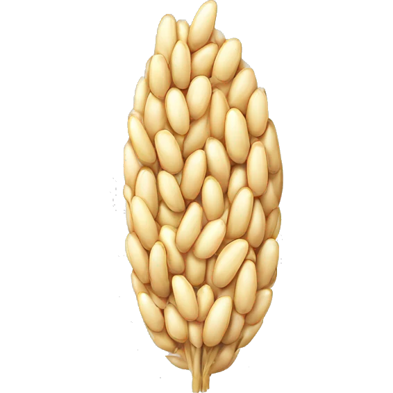 one rice grain emoji