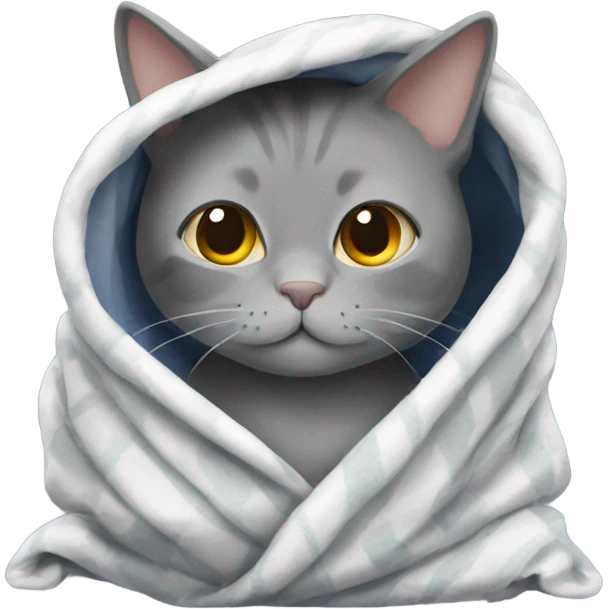 Grey cat in a blanket  emoji