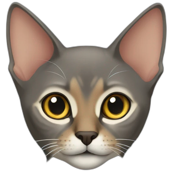 Grey Abyssinian Cat emoji
