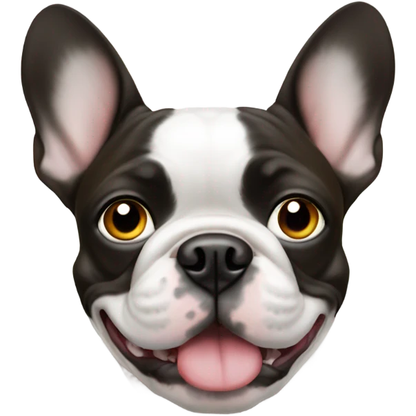 White frenchie different color eyes emoji
