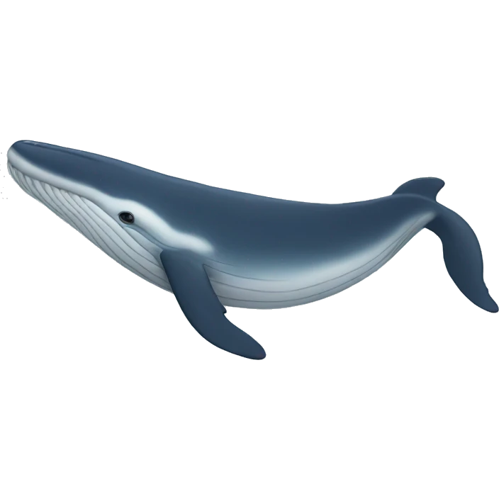 whale emoji