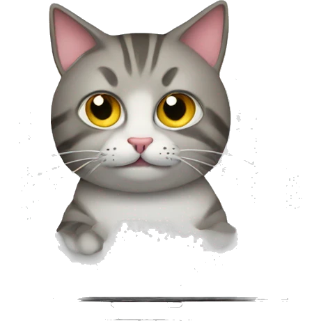 cat behind a laptop emoji