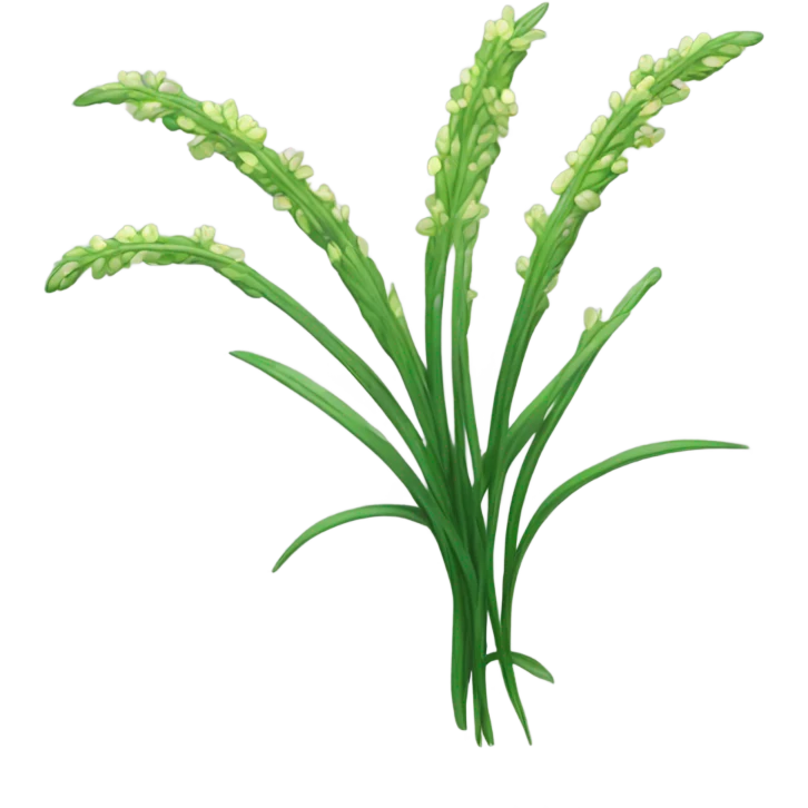 sesame grass emoji