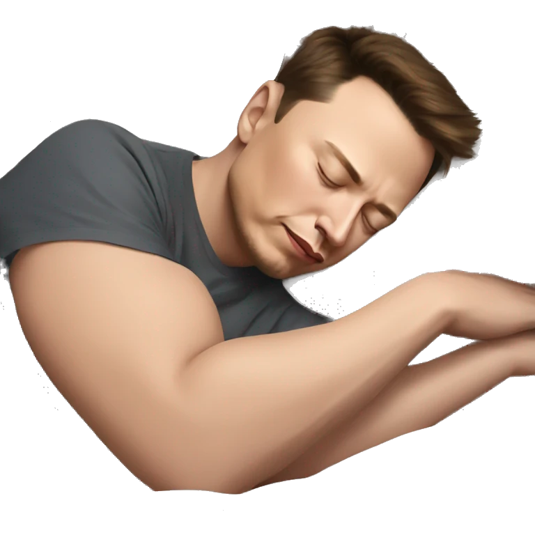 elon musk sleeping emoji