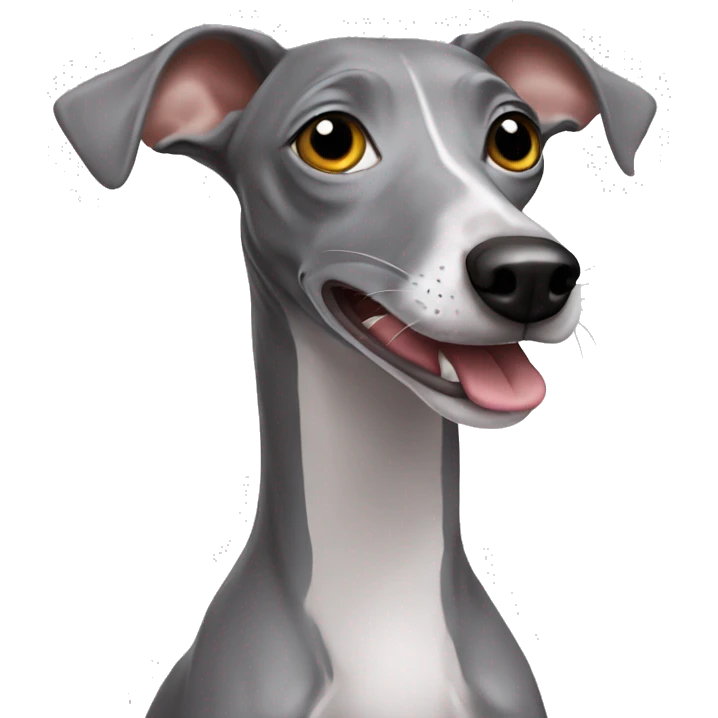 Grey Italian greyhound with a sock in a mouth emoji