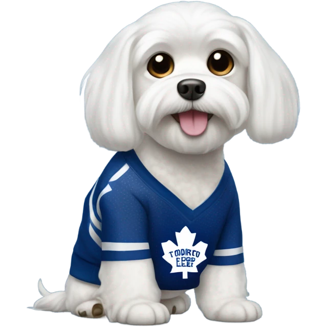 White Maltese with Toronto maple leafs sweater  emoji