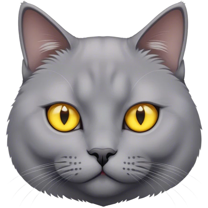 grey British cat with yellow eyes emoji