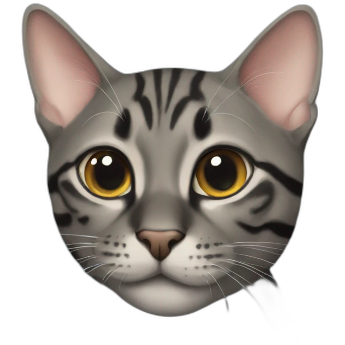 charcoal bengal cat emoji