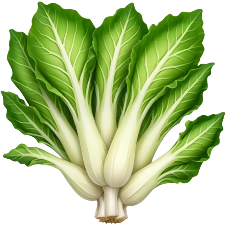green blegian endive radicchio slim single head  emoji