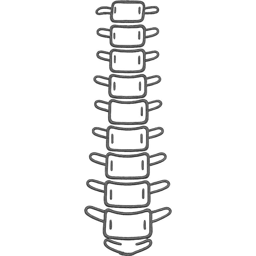 hand-drawn outlined human spine icon, X-ray style, no fill emoji