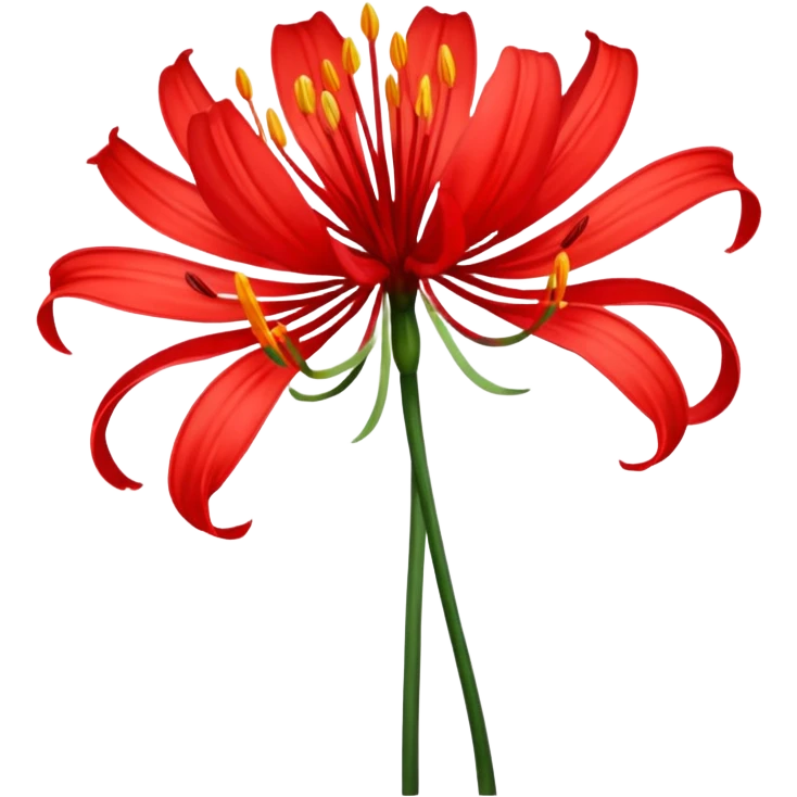 lycoris radiata emoji