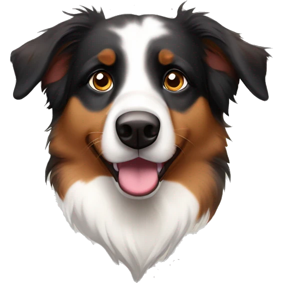 Tri colored Australian shepherd with dark brown eyes emoji