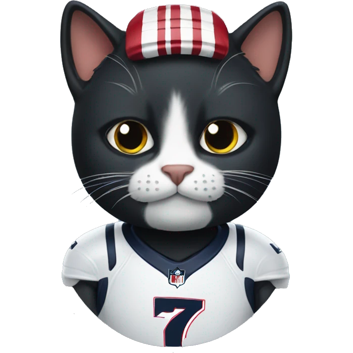 black cat wearing New England Patriots Jersey emoji
