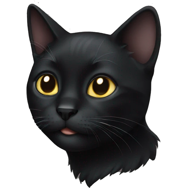 black cat emoji