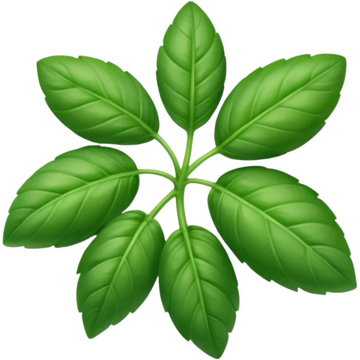 sprig of basil emoji