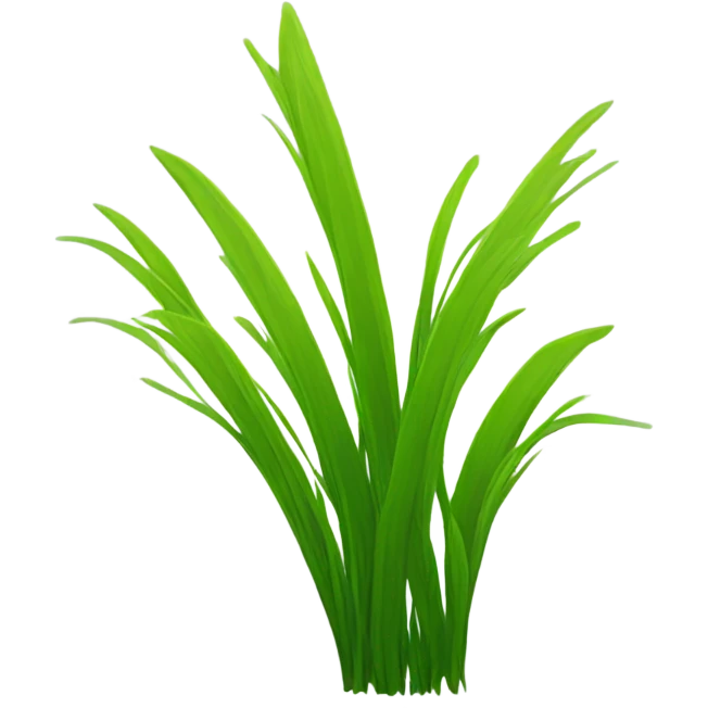Touch grass emoji