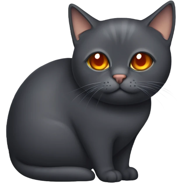 Dark grey cat, fat round, orange eyes  emoji