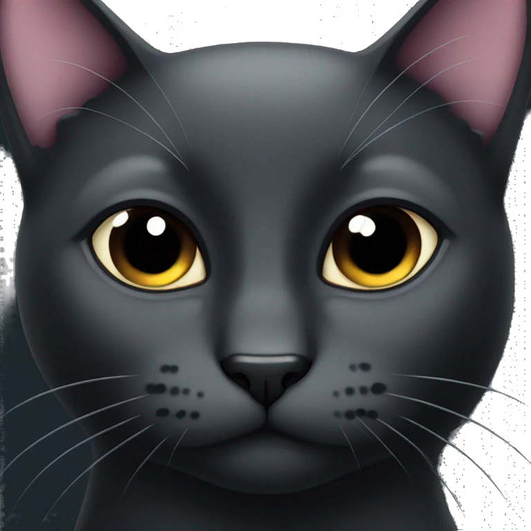 Black cat with Black whiskers emoji