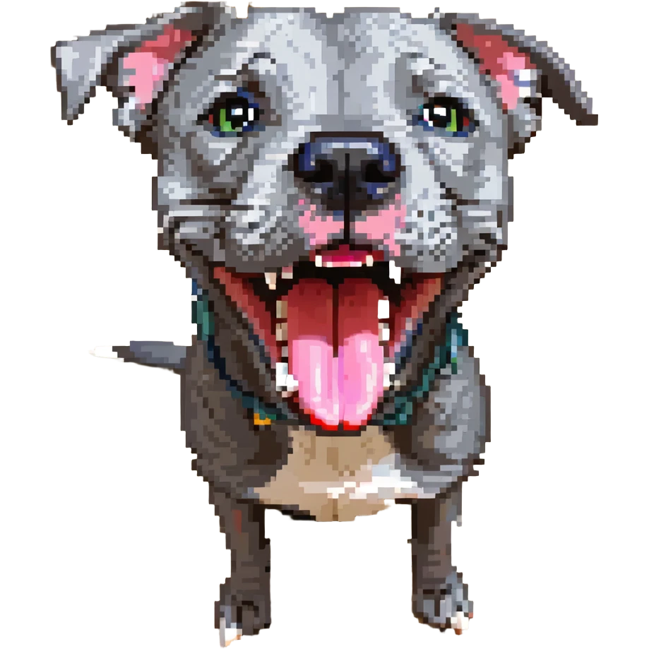 round circle puppy head full grey bleu staffy, big open mouth, big tongue out, stupid expression emoji
