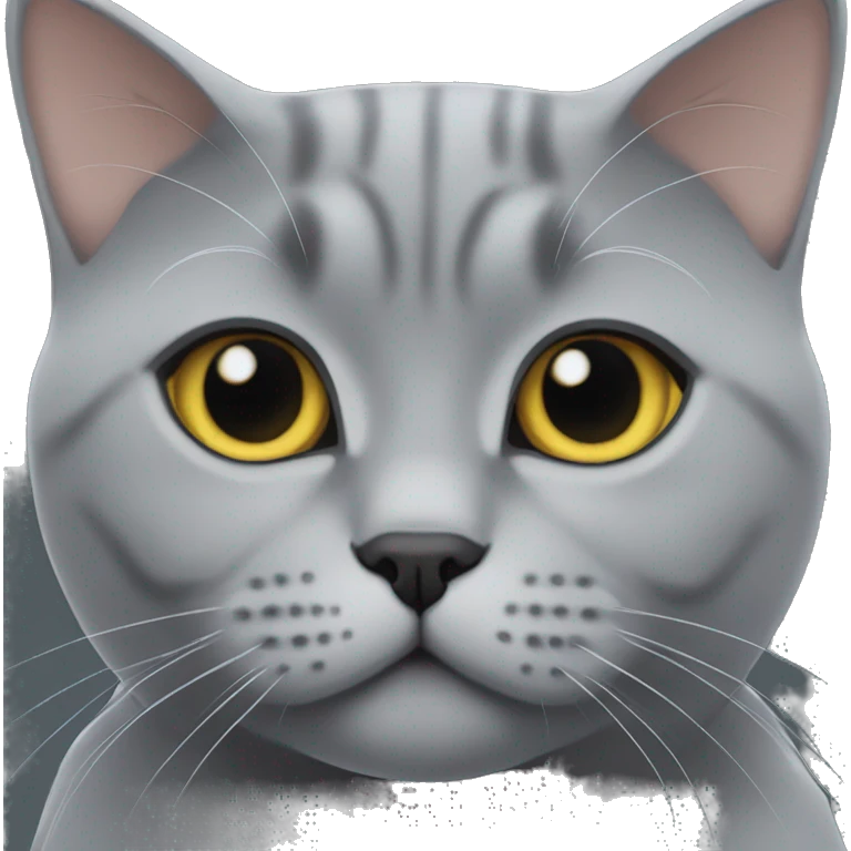 A grey british shorthair cat named Pisaa emoji