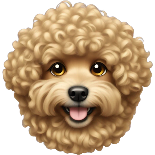 Small curly hair dog with short gold fur  emoji