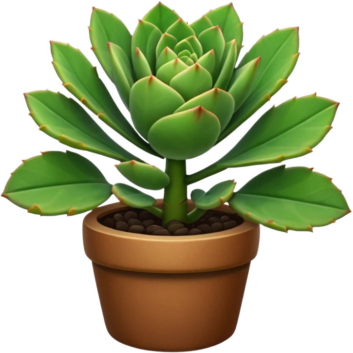 south african spekboom plant emoji