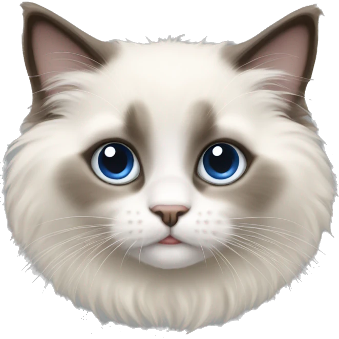 Ragdoll kitten emoji