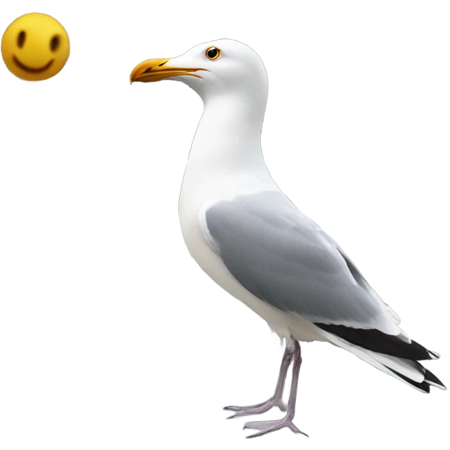 Seagull popping on car emoji