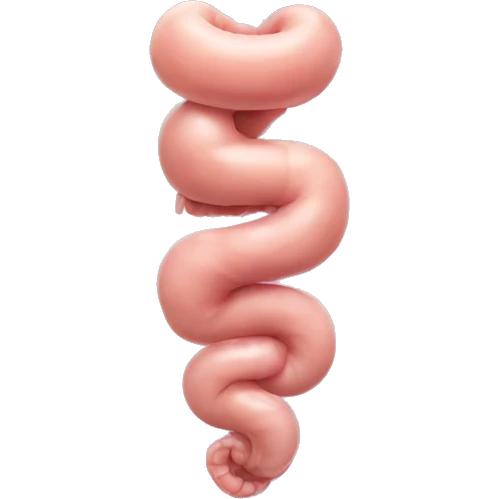 human intestine emoji