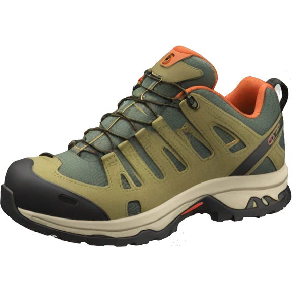 Salomon shoes emoji