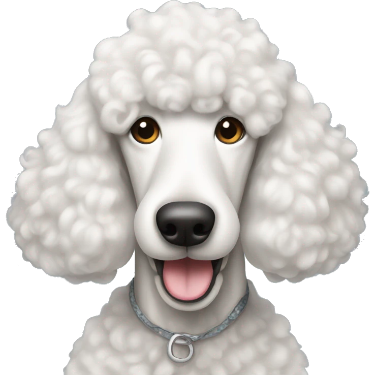 White standard poodle smiling  emoji