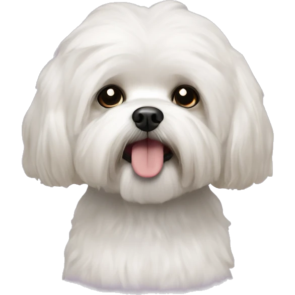 Shih you bichon mix emoji