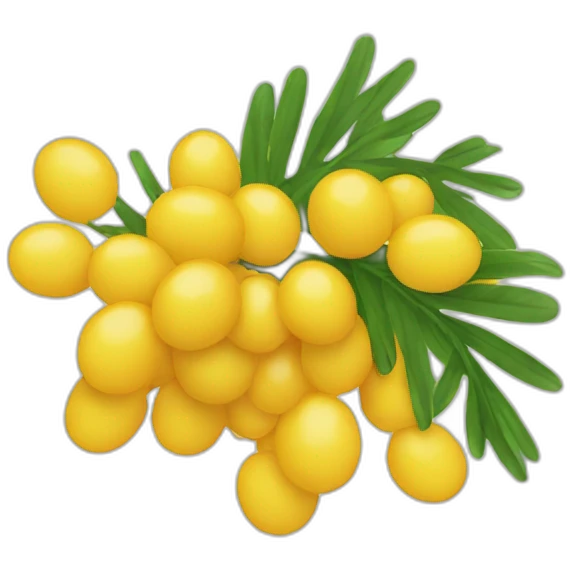 mimosa emoji