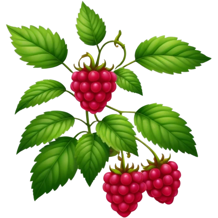 Raspberry full plant  emoji