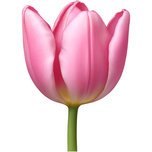 Light pink tulip emoji