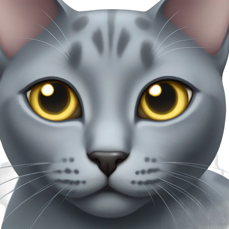 Russian blue cat with star eyes  emoji