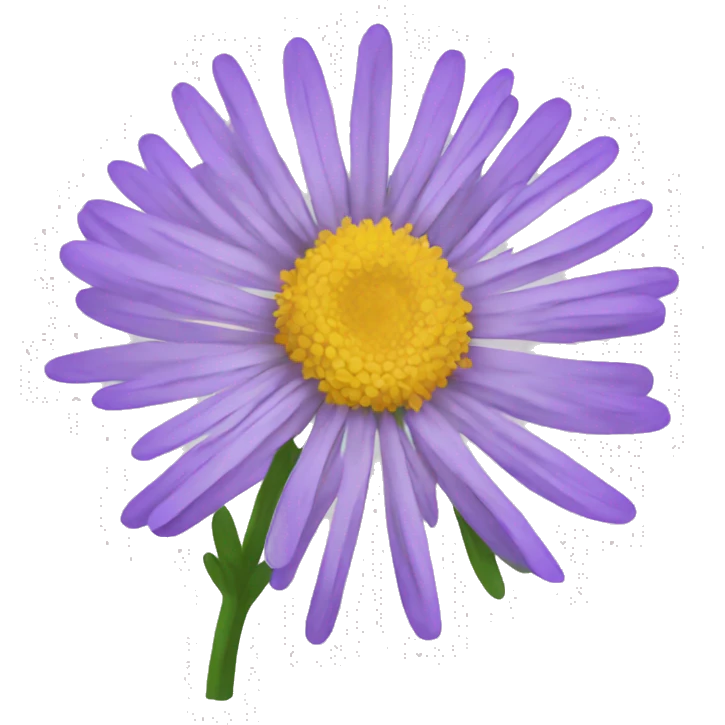 aster flower emoji