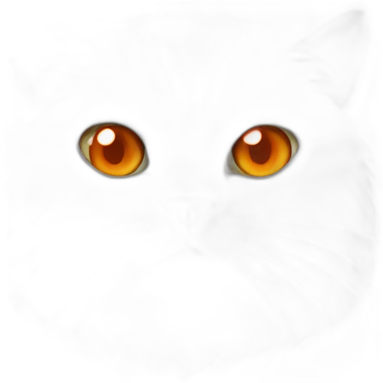 head of a white persian chinchilla cat with orange eye that look stupid emoji