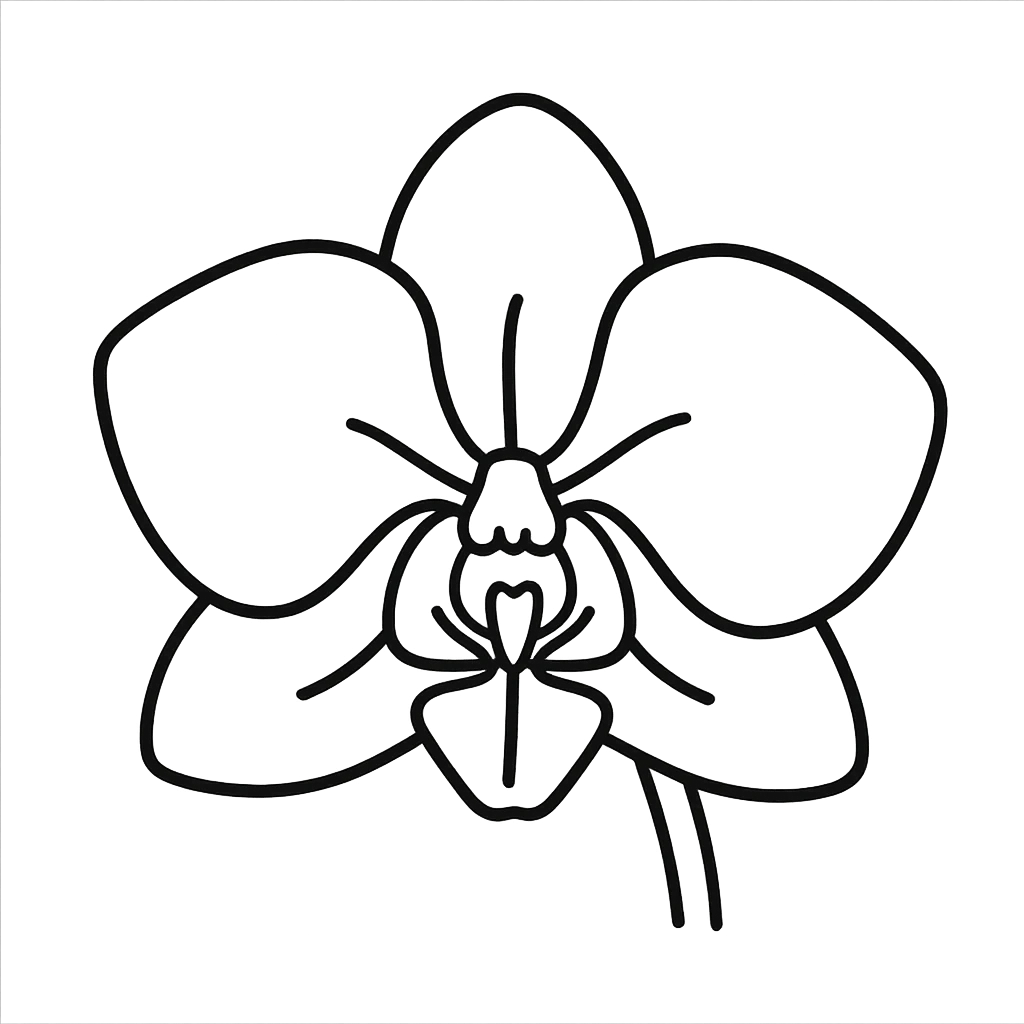 hand-drawn outline style orchid flower icon emoji