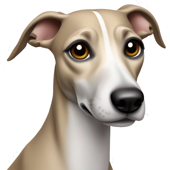 Whippet dog with ear slicked back emoji