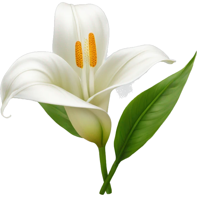 Peace lilies flower emoji