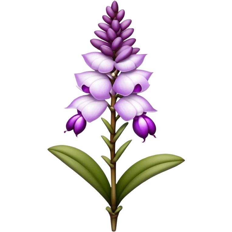 single white purple Rhynchostylis Orchid, 
straight stem emoji
