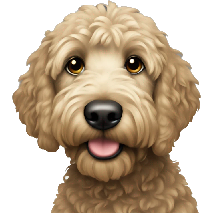 black golden doodle  emoji
