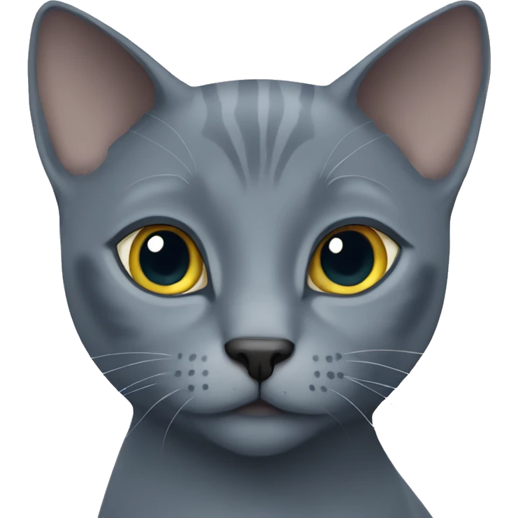 russian blue cat  emoji