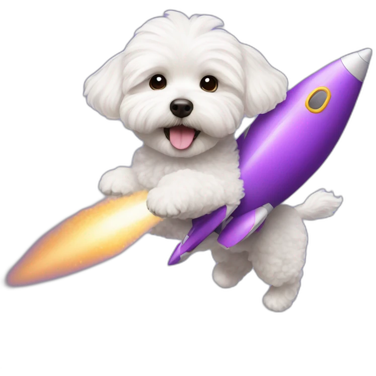 a white maltipoo flying with a purple rocket emoji