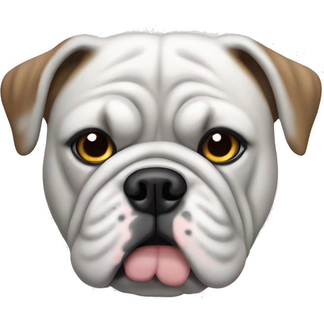 An English bulldog with a gray coat, gray patch over one eye, rest of his face white coat emoji