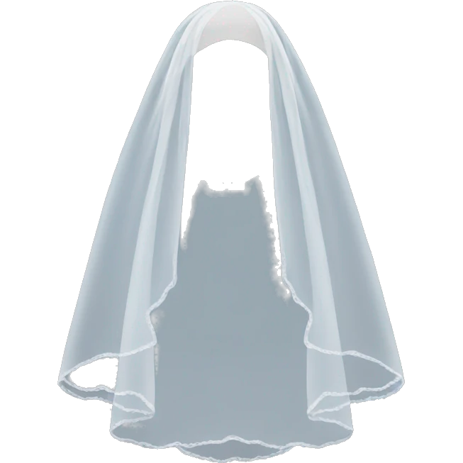 Wedding veil emoji