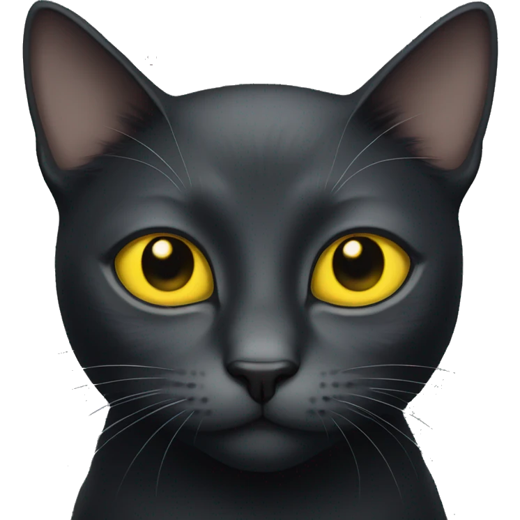 Black cat with yellow eyes and a grey band  emoji