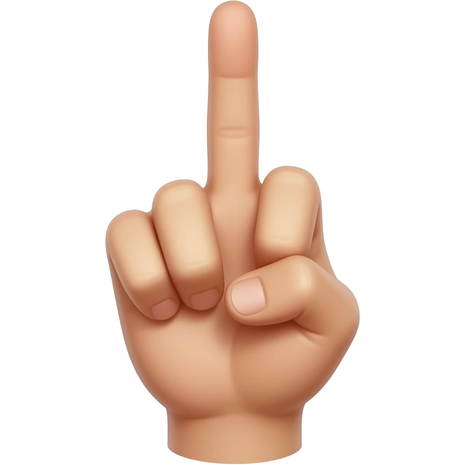 Tf bruh? Middle finger, serious af emoji